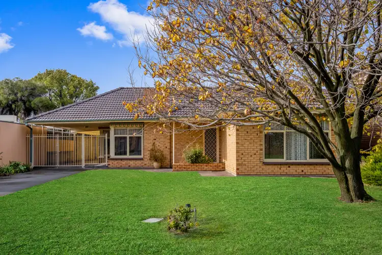 41 Sharpie Crescent, Grange SA 5022