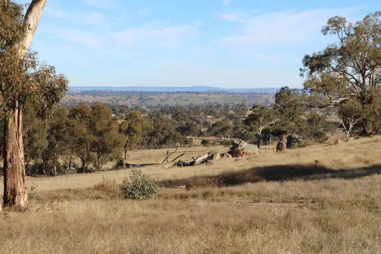 Main view of Homely rural property listing, Lot 130, 1488 Mutton Falls Road, O'connell NSW 2795