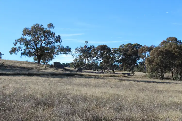 Third view of Homely rural property listing, Lot 130, 1488 Mutton Falls Road, O'connell NSW 2795