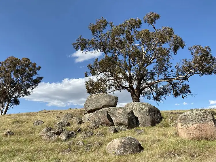 Fifth view of Homely rural property listing, Lot 130, 1488 Mutton Falls Road, O'connell NSW 2795