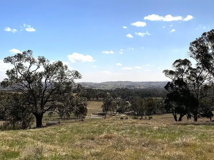 Sixth view of Homely rural property listing, Lot 130, 1488 Mutton Falls Road, O'connell NSW 2795
