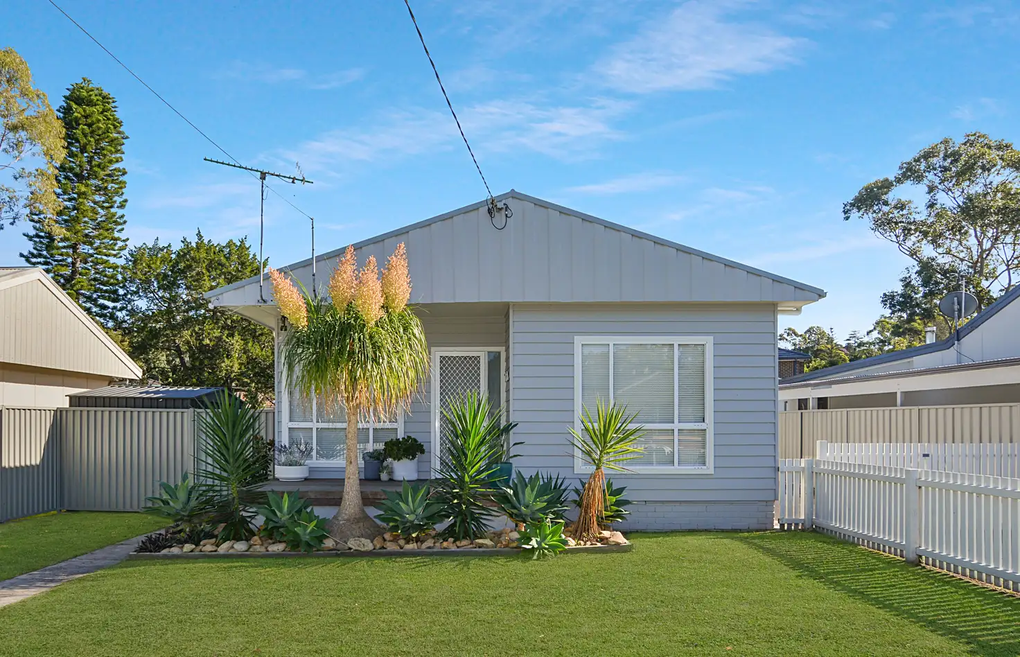 Main view of Homely house listing, 11 Dalton Street, Wyoming NSW 2250