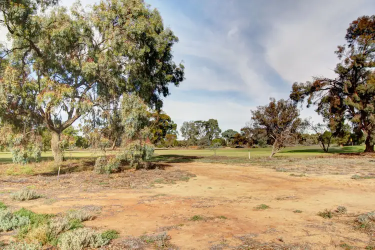 Sixth view of Homely land listing, 196 Nookamka Terrace, Barmera SA 5345