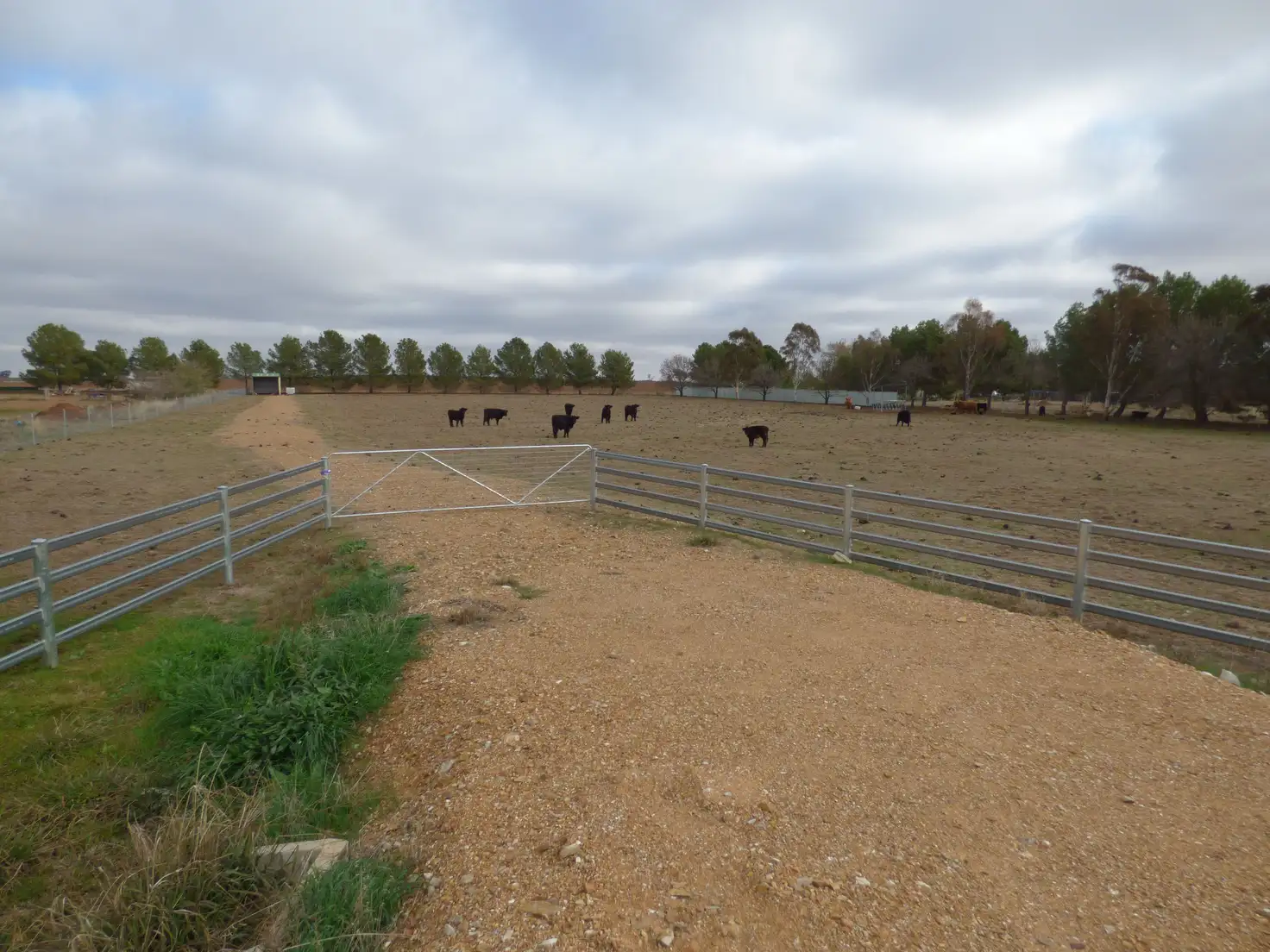 Main view of Homely land listing, 331A Calarie Road, Forbes NSW 2871