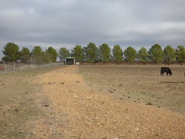 Third view of Homely land listing, 331A Calarie Road, Forbes NSW 2871