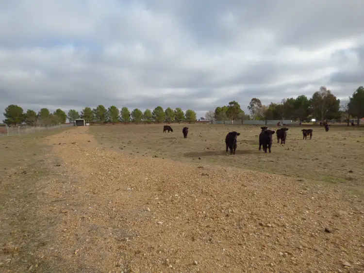 Fourth view of Homely land listing, 331A Calarie Road, Forbes NSW 2871
