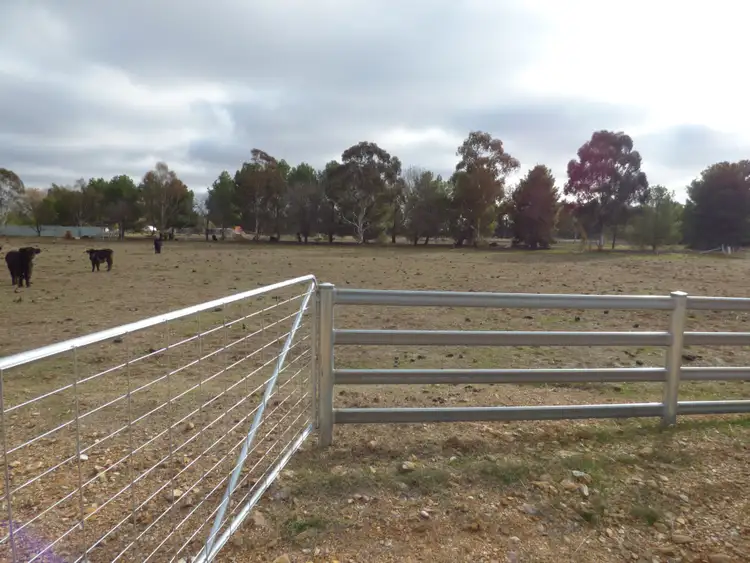 Fifth view of Homely land listing, 331A Calarie Road, Forbes NSW 2871