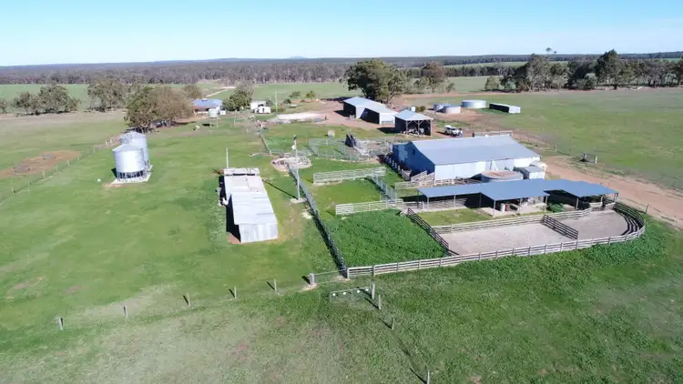 Third view of Homely rural property listing, 1242 Kwornicup Road, Mount Barker WA 6324