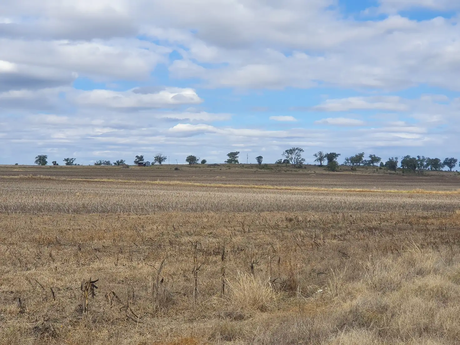Main view of Homely rural property listing, L1 Pechey Maclagan Road, Rosalie Plains QLD 4401