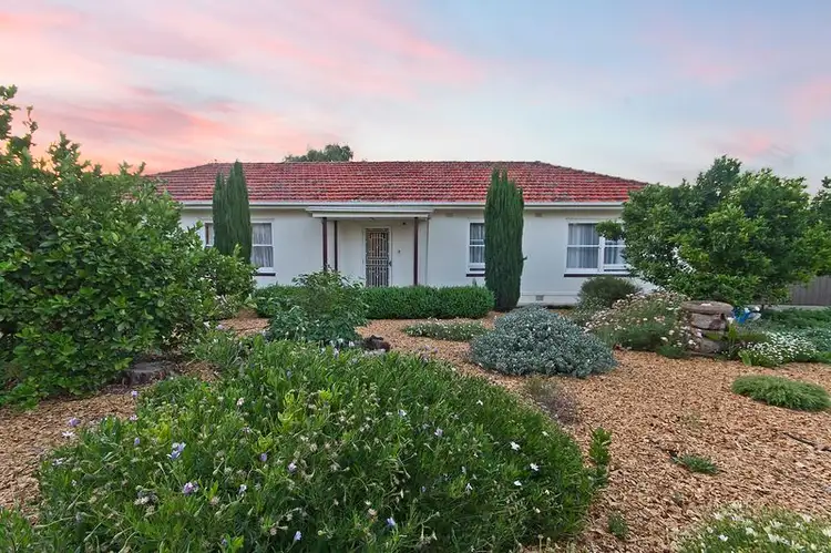 7 Central Avenue, Enfield SA 5085