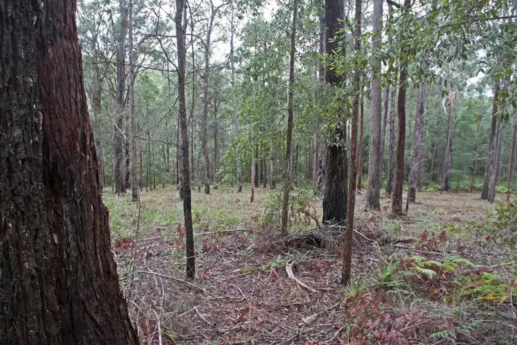 Main view of Homely land listing, Lot 45 Possum Way, Kew NSW 2439