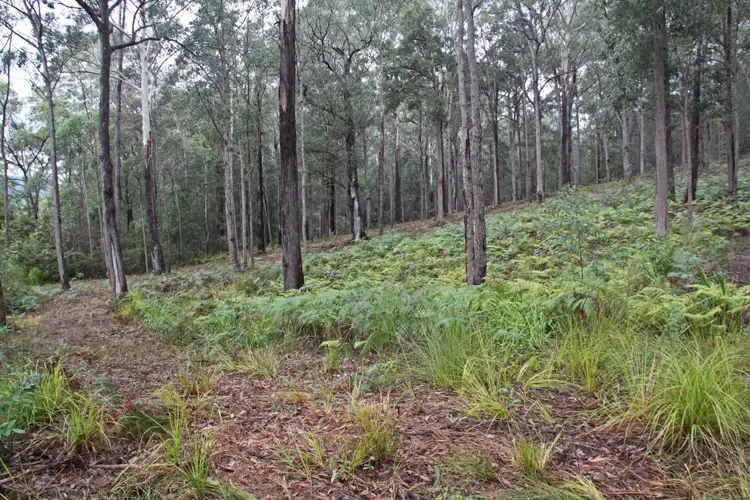 Third view of Homely land listing, Lot 45 Possum Way, Kew NSW 2439