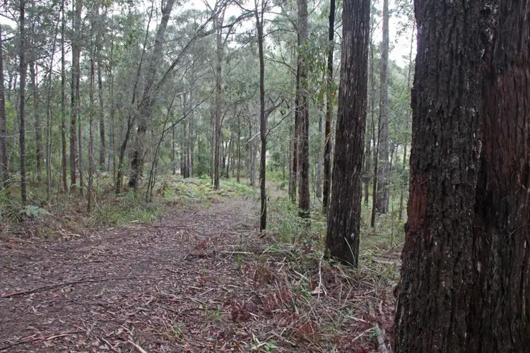 Fourth view of Homely land listing, Lot 45 Possum Way, Kew NSW 2439