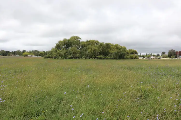 Fourth view of Homely rural property listing, 0 Macquarie Street, Glen Innes NSW 2370