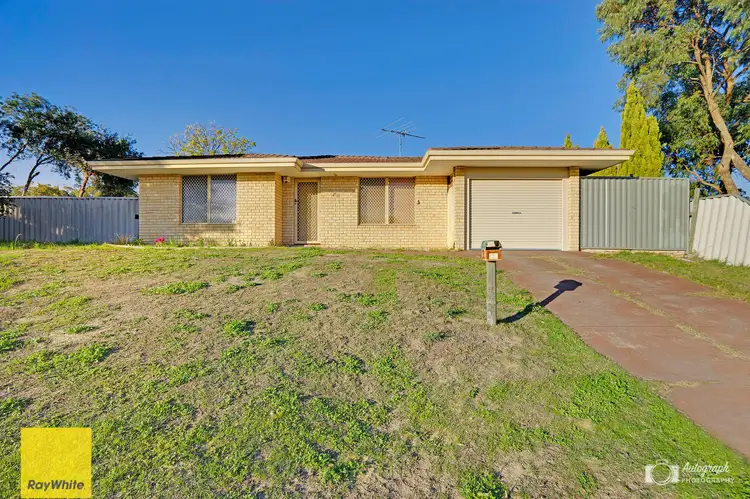 29 Firethorn Retreat, Mirrabooka WA 6061