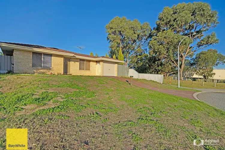 Second view of Homely house listing, 29 Firethorn Retreat, Mirrabooka WA 6061