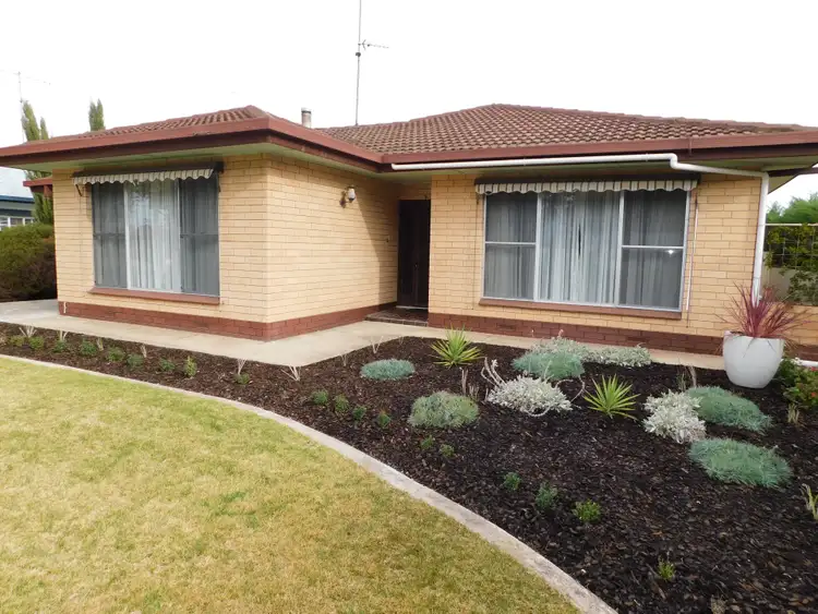 Second view of Homely house listing, 53 Naracoorte Road, Bordertown SA 5268