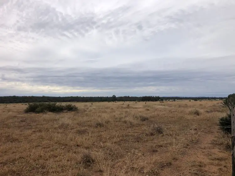 Seventh view of Homely rural property listing, 1617 Bundalba Road, Goovigen QLD 4702