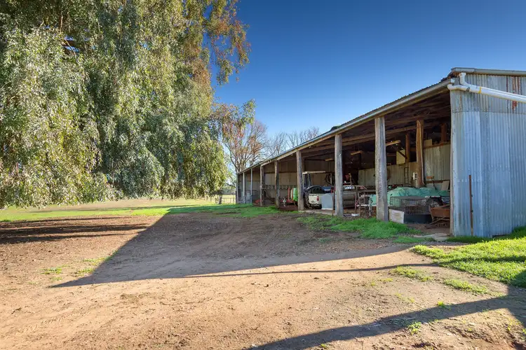 Fourth view of Homely rural property listing, 104 Newton Road, Mullengandra NSW 2644