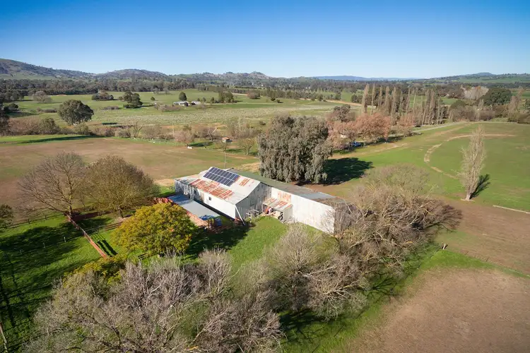 Fifth view of Homely rural property listing, 104 Newton Road, Mullengandra NSW 2644