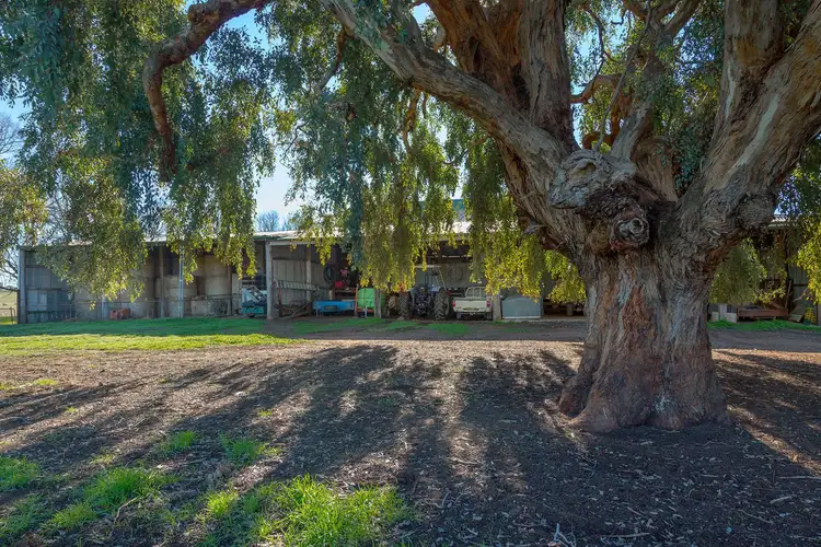 Sixth view of Homely rural property listing, 104 Newton Road, Mullengandra NSW 2644