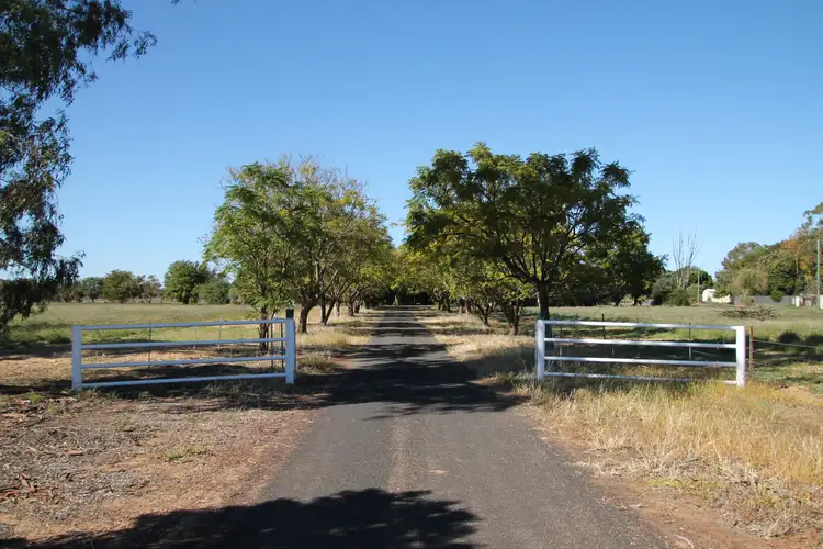 12002 Carnarvon Highway, St George QLD 4487