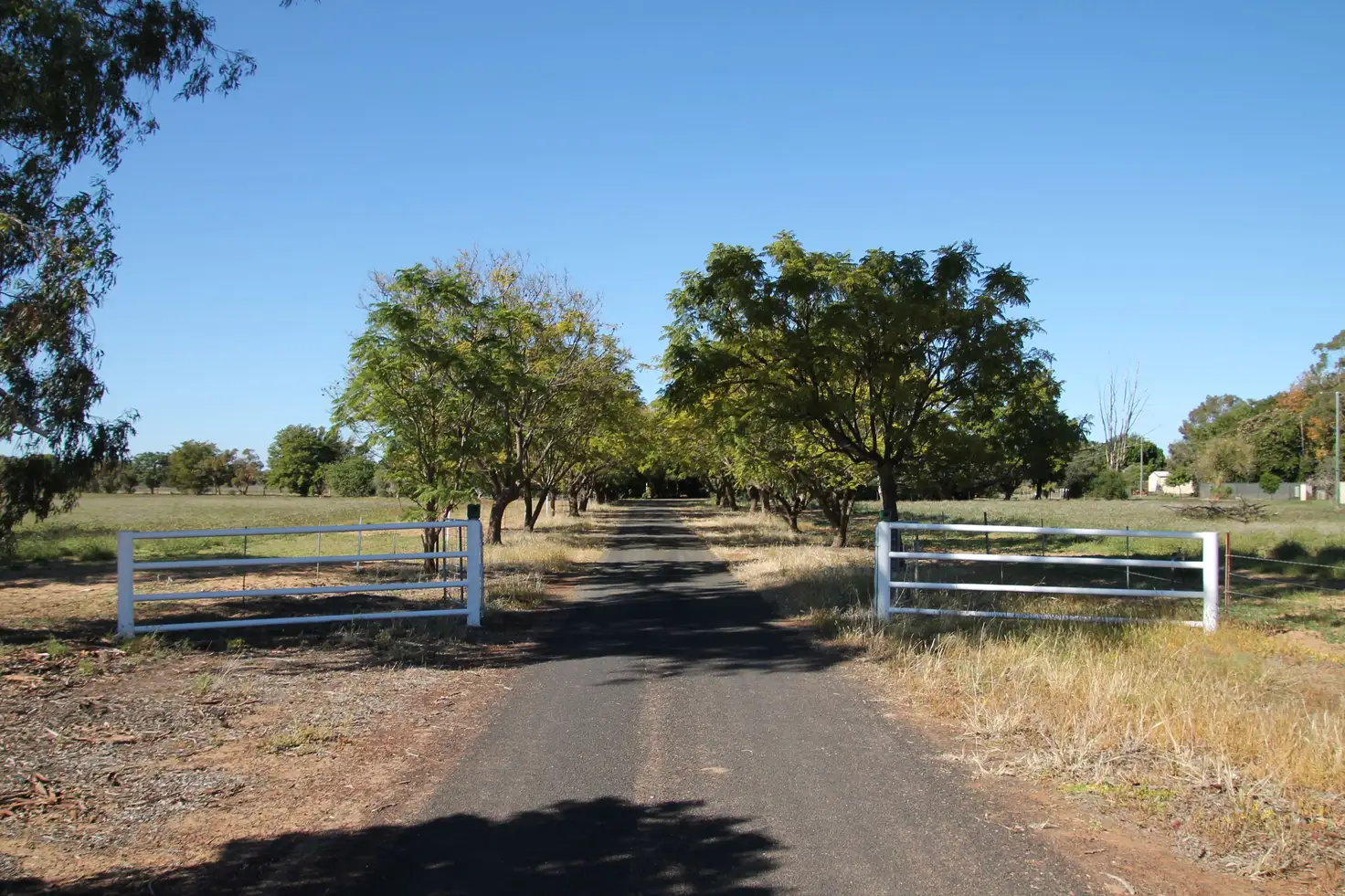 Main view of Homely house listing, 12002 Carnarvon Highway, St George QLD 4487