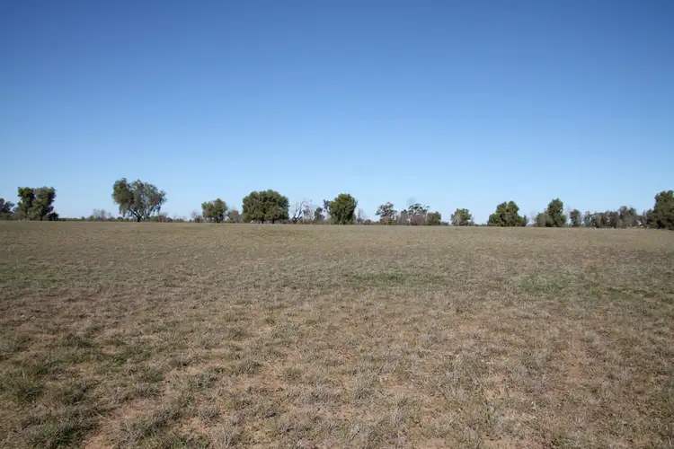 Third view of Homely house listing, 12002 Carnarvon Highway, St George QLD 4487