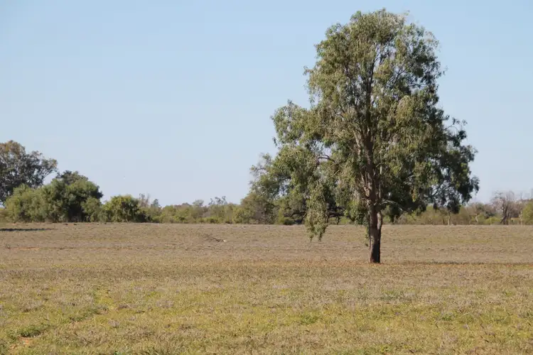 Sixth view of Homely house listing, 12002 Carnarvon Highway, St George QLD 4487