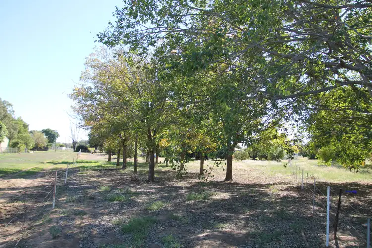 Seventh view of Homely house listing, 12002 Carnarvon Highway, St George QLD 4487