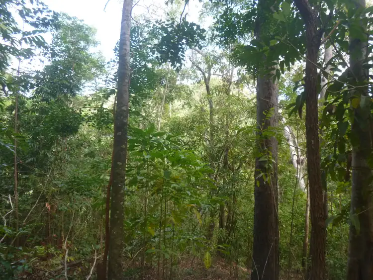 Third view of Homely land listing, 1 Rossville-Bloomfield Road, Bloomfield QLD 4895