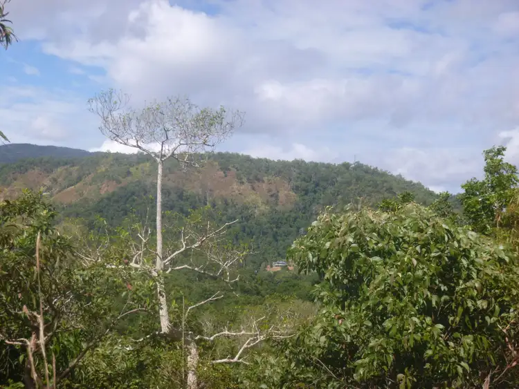 Fourth view of Homely land listing, 1 Rossville-Bloomfield Road, Bloomfield QLD 4895