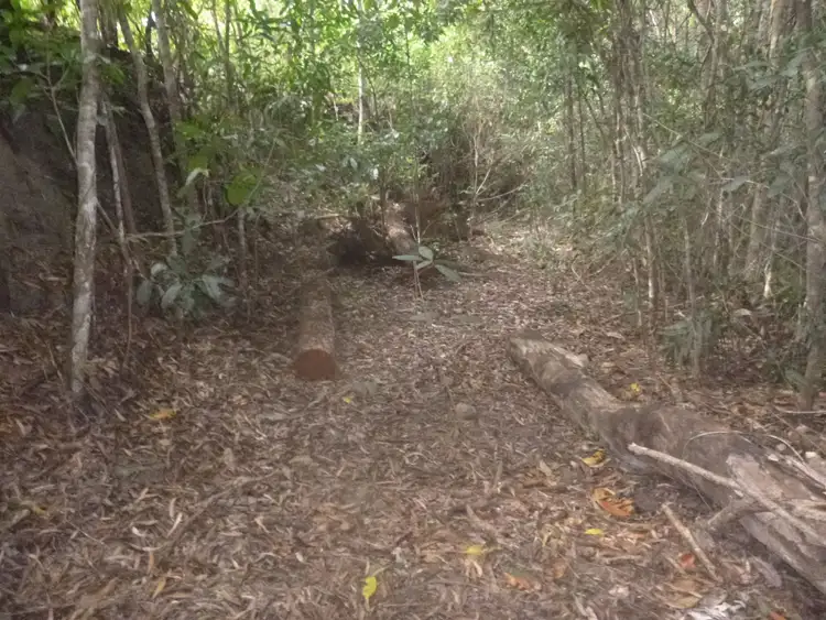 Fifth view of Homely land listing, 1 Rossville-Bloomfield Road, Bloomfield QLD 4895