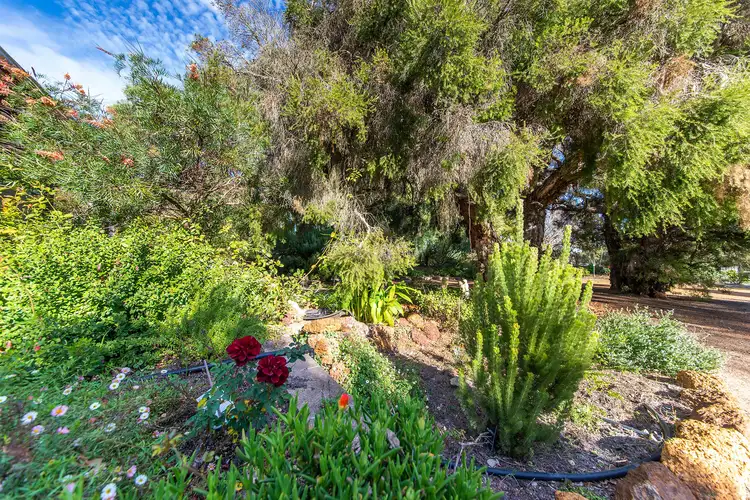 Second view of Homely house listing, 121 Warren Road, Nannup WA 6275