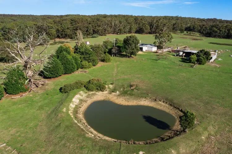 Sixth view of Homely house listing, 655 Lancefield-Tooborac Road, Nulla Vale VIC 3435