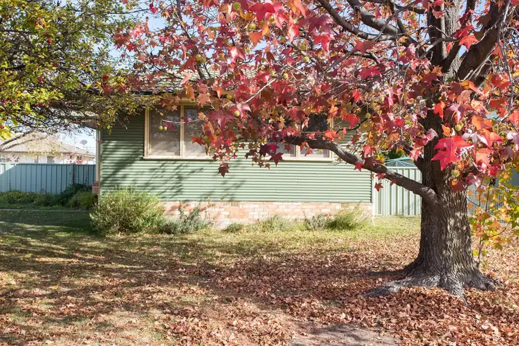 Second view of Homely house listing, 22 Claude Street, Armidale NSW 2350