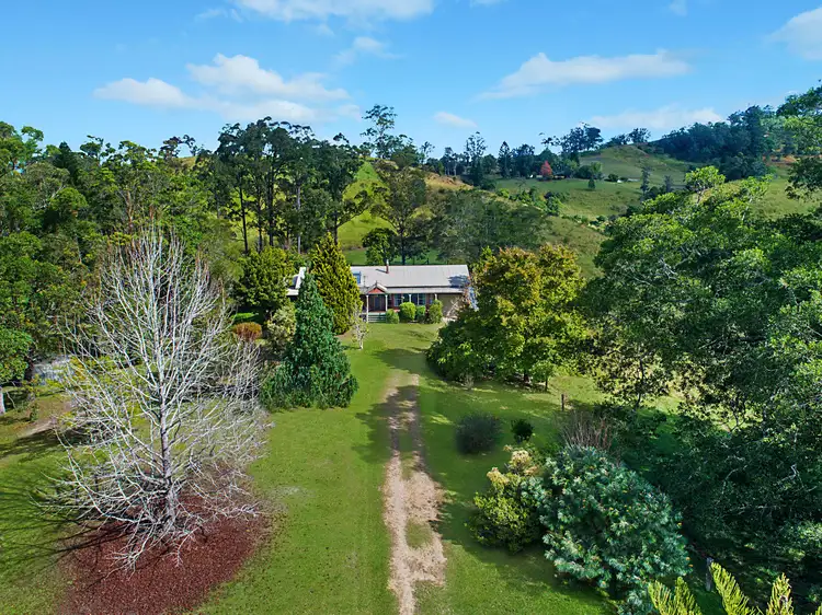 824 Limpinwood Road, Limpinwood NSW 2484