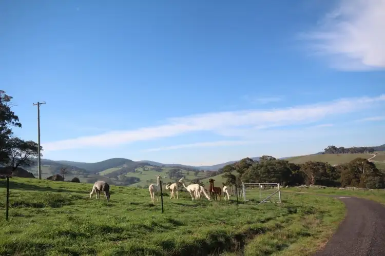 Fifth view of Homely rural property listing, 278 Ferndale Road, Oberon NSW 2787