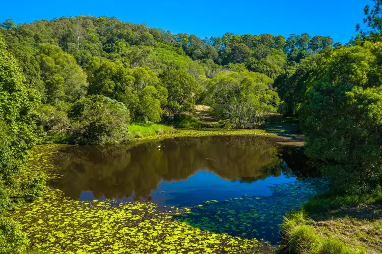 Fifth view of Homely land listing, 502 Tallebudgera Connection Road, Currumbin Valley QLD 4223