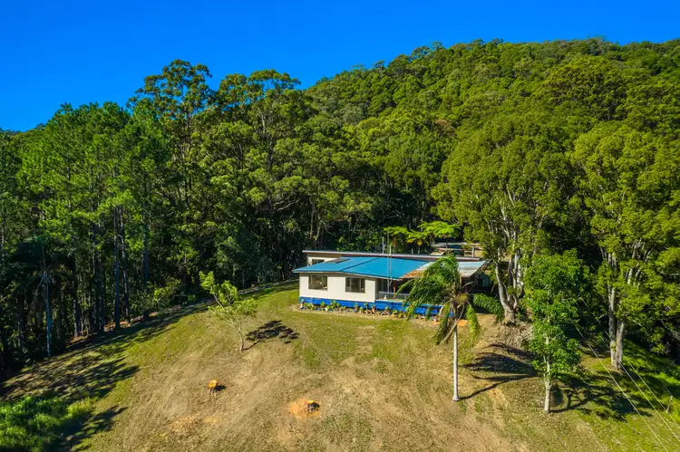 Fourth view of Homely house listing, 50 Braewood Drive, Currumbin Valley QLD 4223