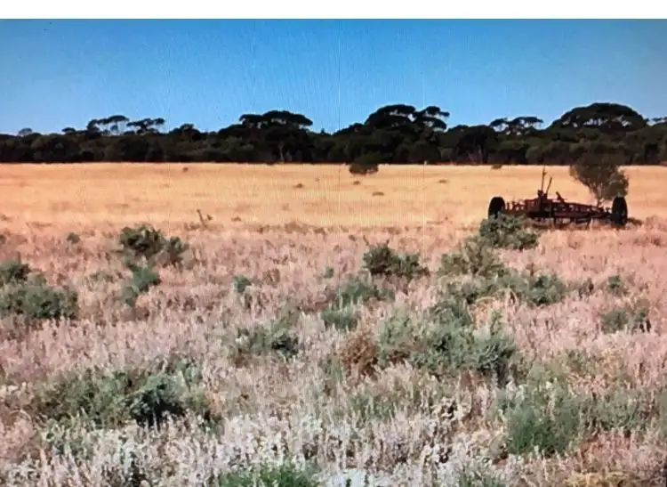 Second view of Homely rural property listing, Lot 7112 Wubin Mullewa Road, Latham WA 6616