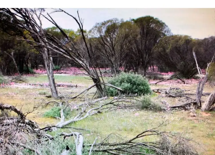 Third view of Homely rural property listing, Lot 7112 Wubin Mullewa Road, Latham WA 6616