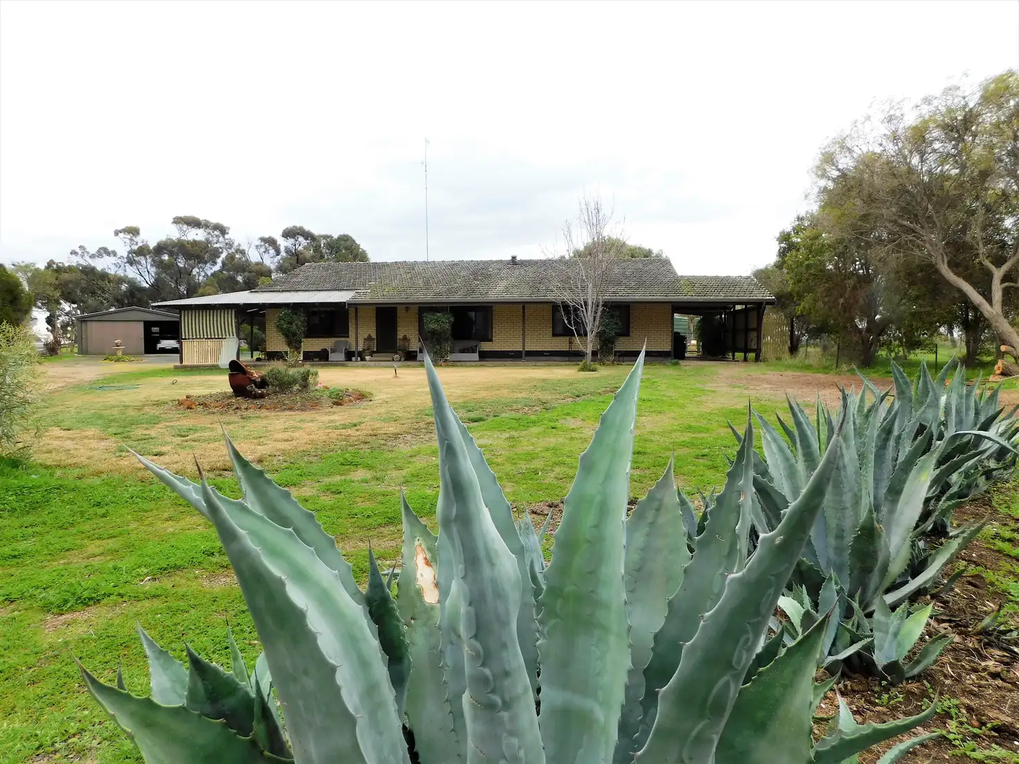 Main view of Homely rural property listing, 17809 Dukes Highway, Bordertown SA 5268