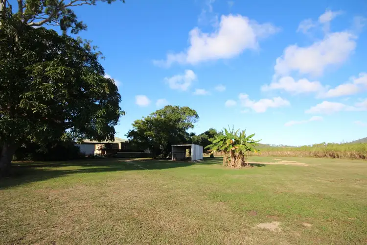 Seventh view of Homely rural property listing, 249 Eversleigh Road, Sarina QLD 4737