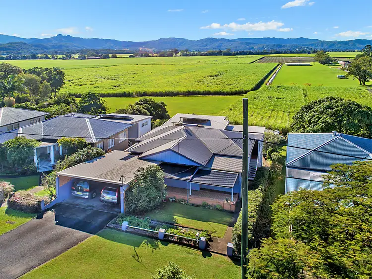 Main view of Homely house listing, 161 Murwillumbah Street, Murwillumbah NSW 2484