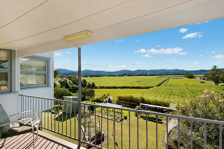 Fourth view of Homely house listing, 161 Murwillumbah Street, Murwillumbah NSW 2484