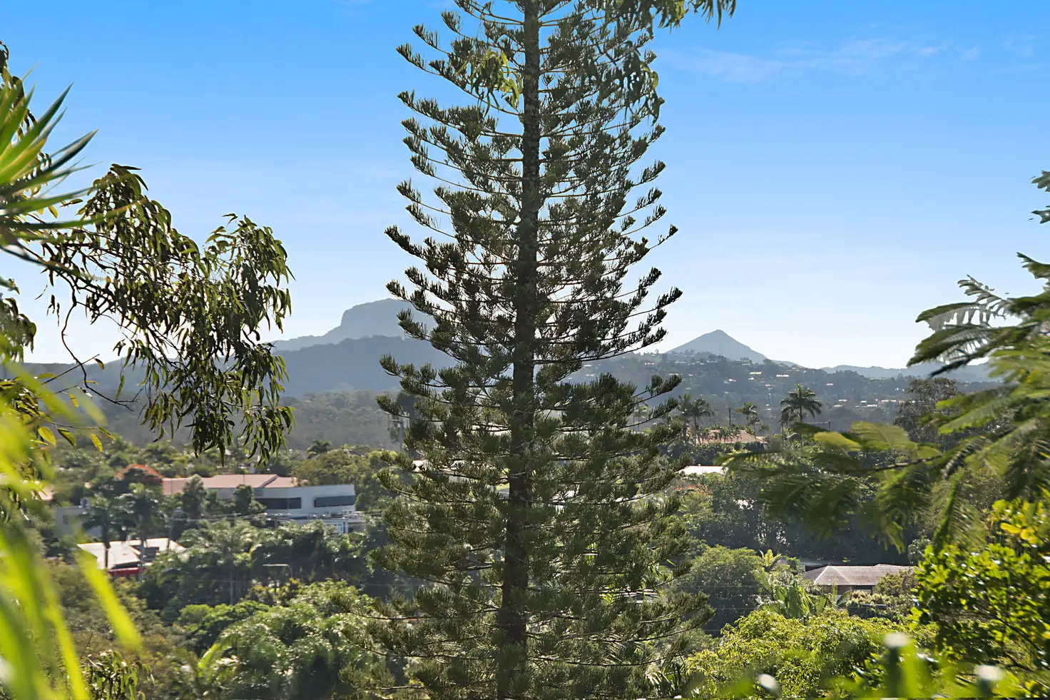 Main view of Homely house listing, 19 Kerenjon Avenue, Buderim QLD 4556