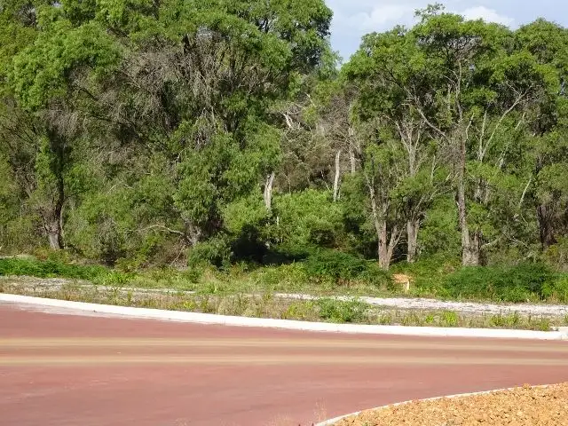 Sixth view of Homely land listing, 10 Tassel Place, Denmark WA 6333