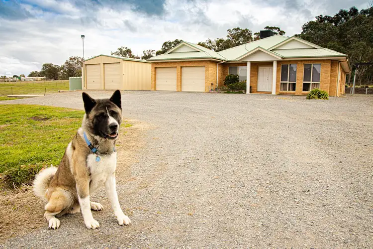 Main view of Homely house listing, 8 Wattle Glen, Murrumbateman NSW 2582
