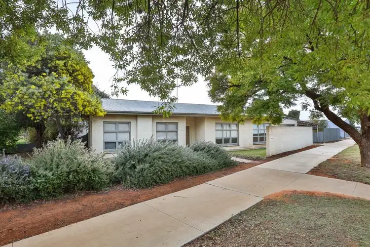 Main view of Homely house listing, 131 Jacaranda Street, Red Cliffs VIC 3496